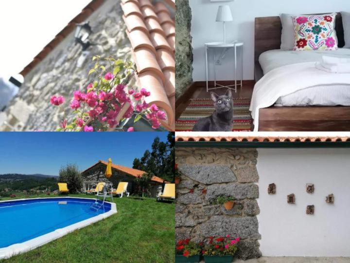 Villa Casa Pedra & Cal à Paredes de Coura Extérieur photo
